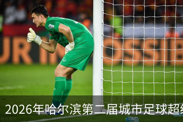 2026年哈尔滨第二届城市足球超级杯赛开赛